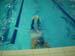 DSCN0769