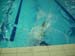 DSCN0771