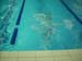DSCN0772