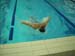 DSCN0781