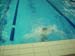 DSCN0784
