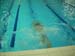 DSCN0785